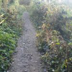 a photo showing the footpath before any works were carried out