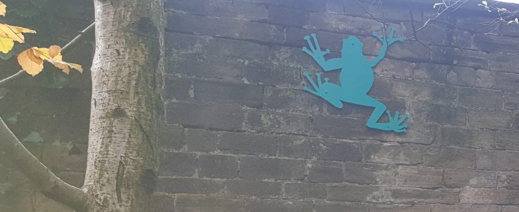 photo of an animal shape on wall