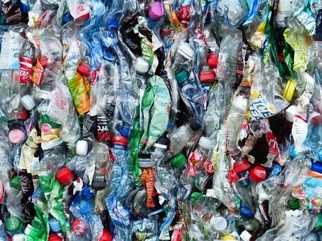 photogragh of plastic bottles